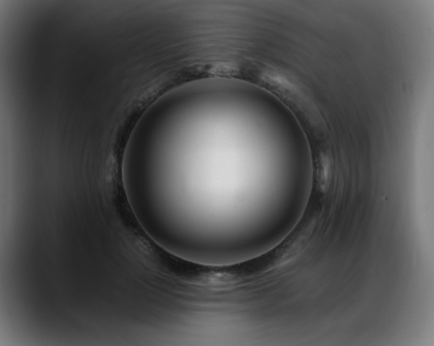 X0000088660748200705251522