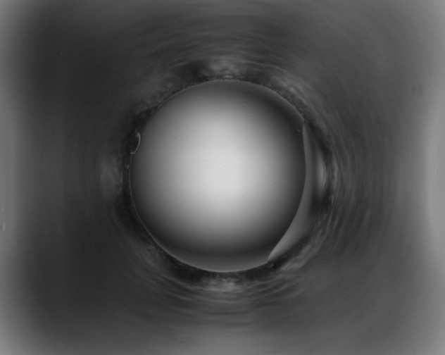 X0000088660751200705251522