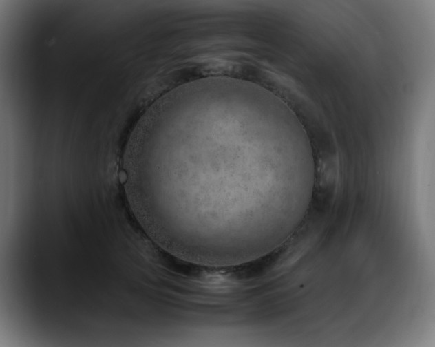 X0000088660753200705251522