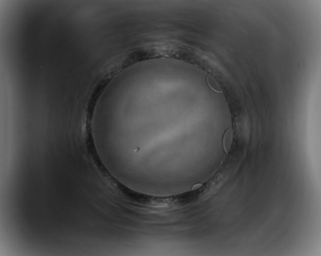 X0000088660757200705251522