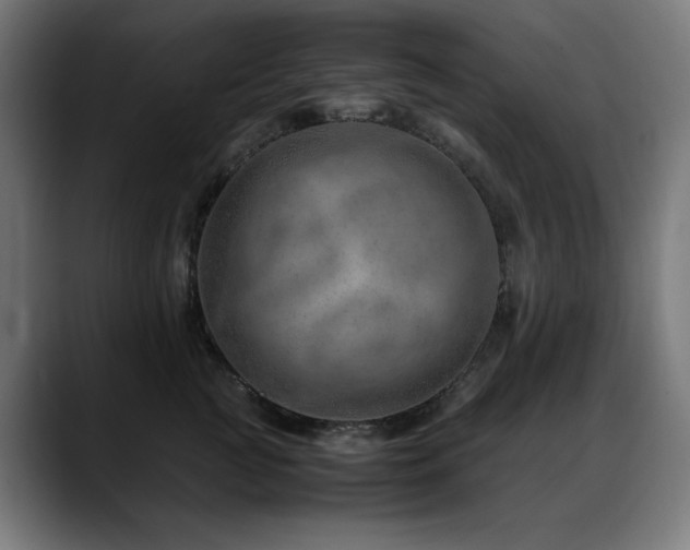 X0000088660761200705251522