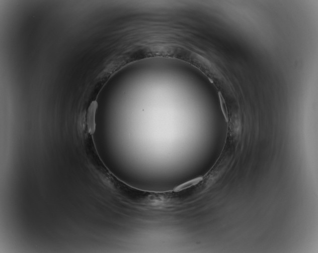 X0000088660764200705251522