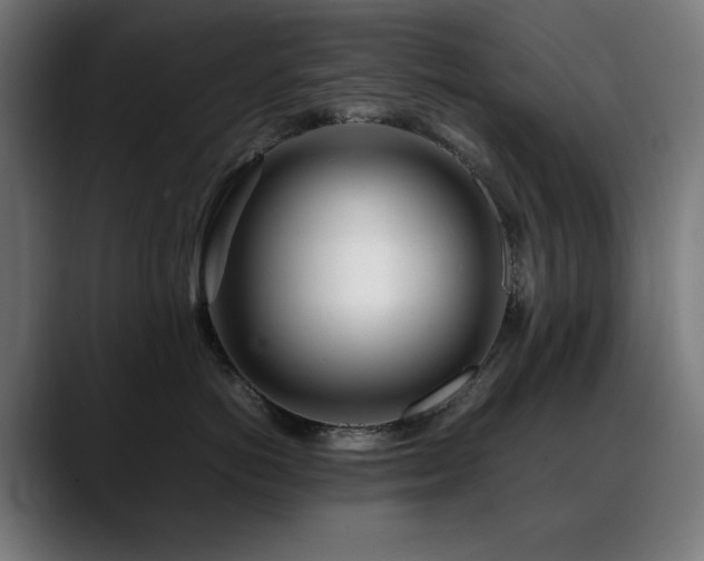 X0000088660766200705251522