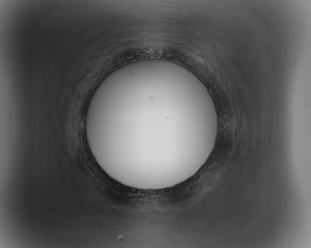 X0000088660769200705251521