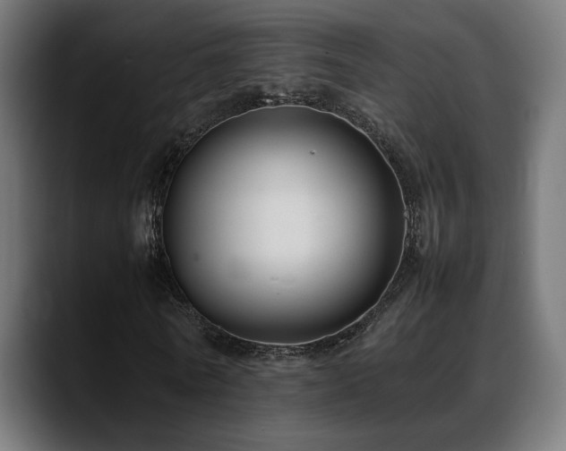 X0000088660770200705251521