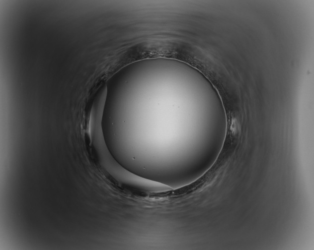 X0000088660771200705251521