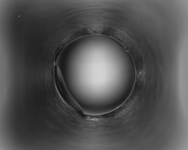 X0000088660772200705251521