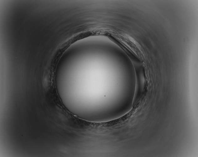 X0000088660775200705251521