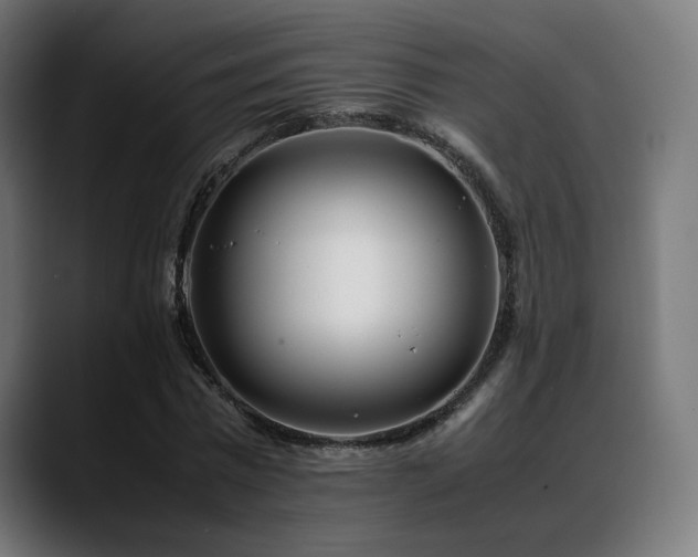 X0000088660777200705251521