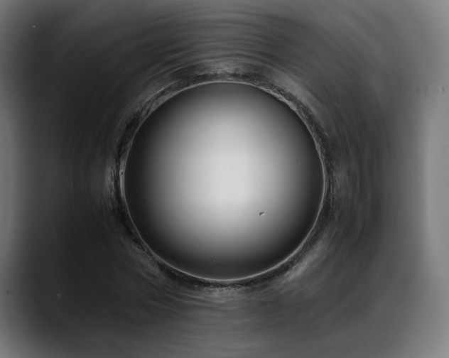 X0000088660778200705251521