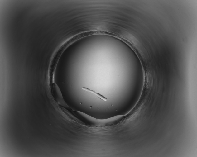 X0000088660780200705251521