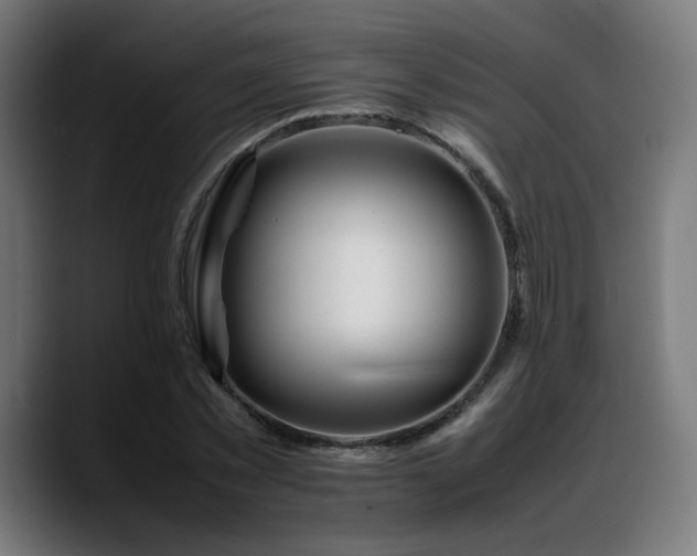 X0000088660781200705251521