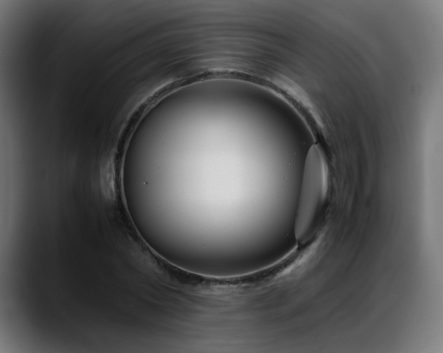 X0000088660782200705251521