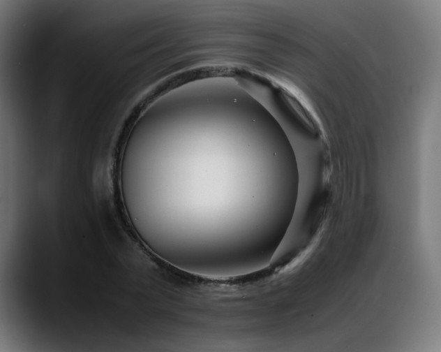 X0000088660783200705251521