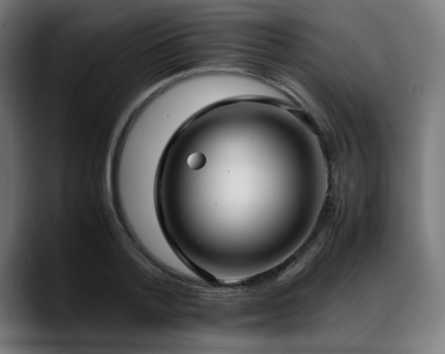 X0000088660788200705251521