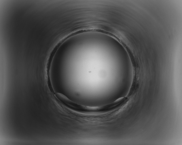 X0000088660789200705251521