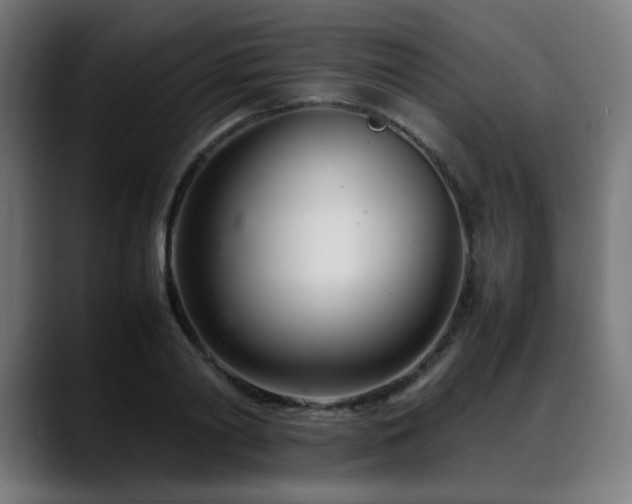 X0000088660790200705251521