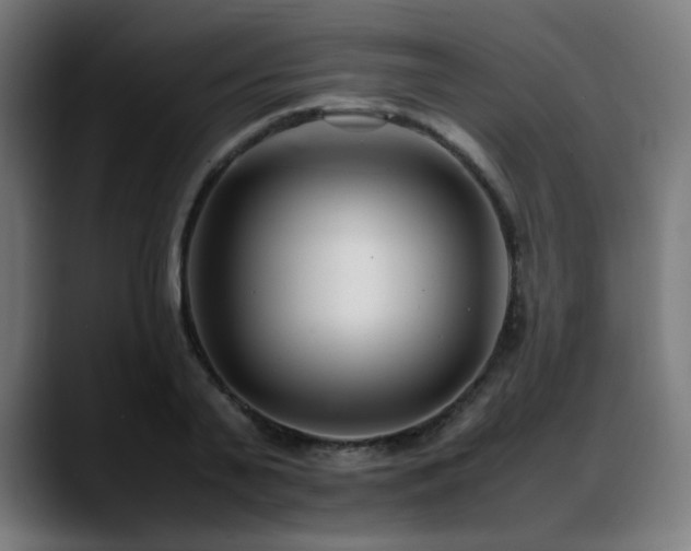 X0000088660791200705251521