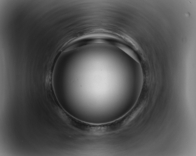 X0000088660793200705251521