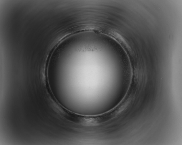 X0000088660794200705251521