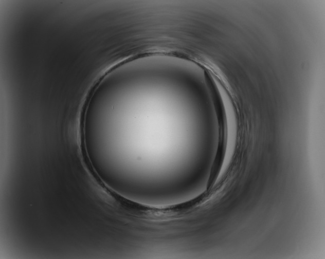 X0000088660795200705251521