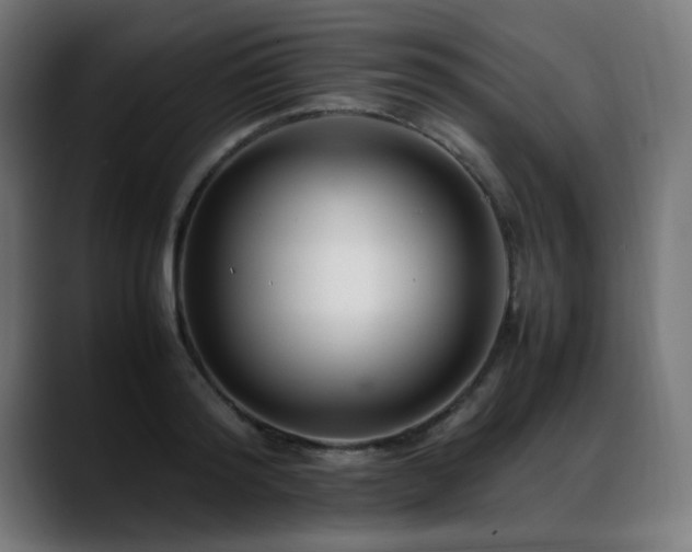 X0000088660796200705251521