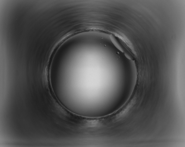 X0000088660798200705251521