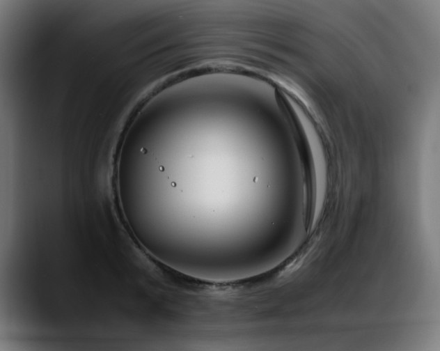 X0000088660799200705251521