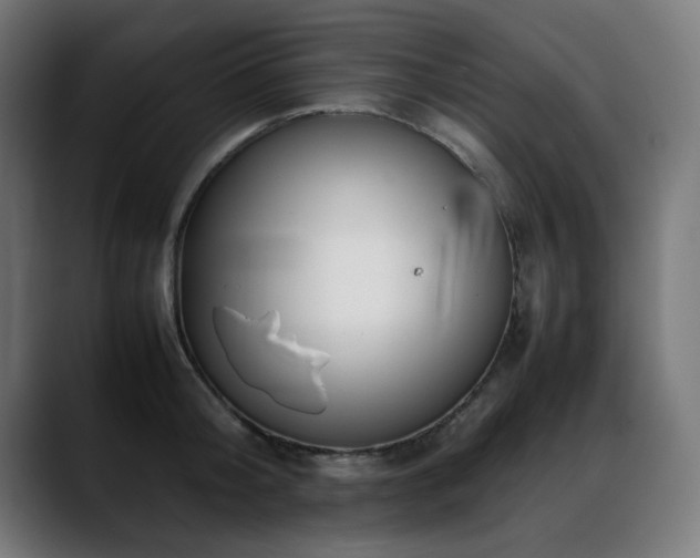 X0000088660804200705251521