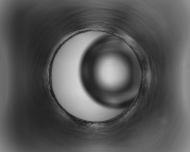 X0000088660808200705251521