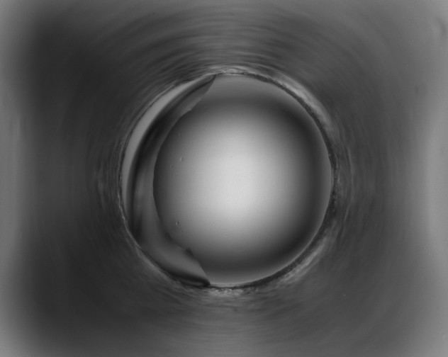 X0000088660809200705251521