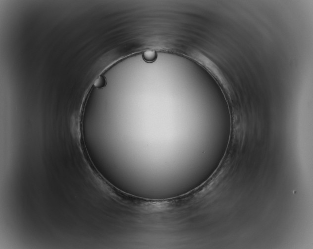 X0000088660810200705251521