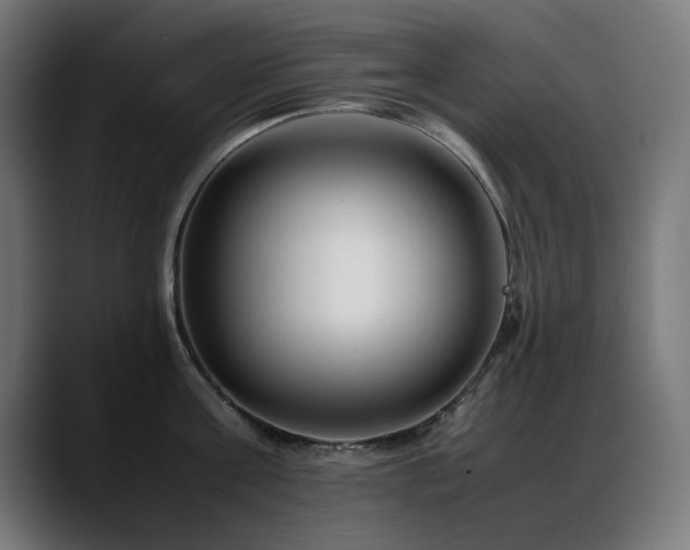 X0000088660811200705251521