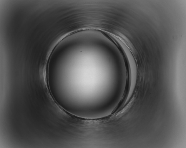 X0000088660812200705251521