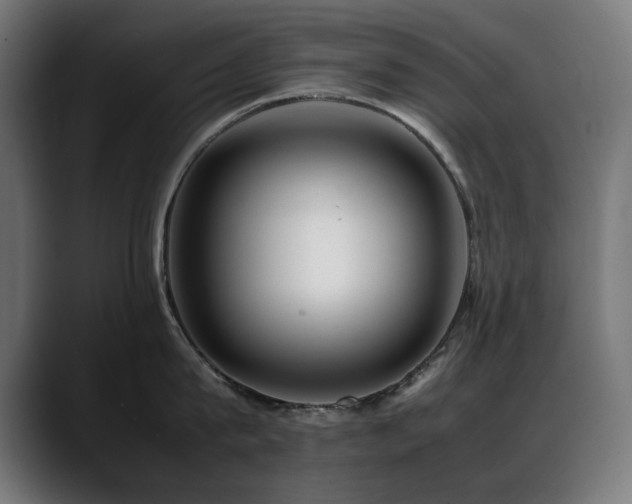 X0000088660815200705251521