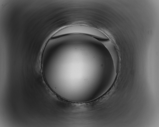 X0000088660816200705251521