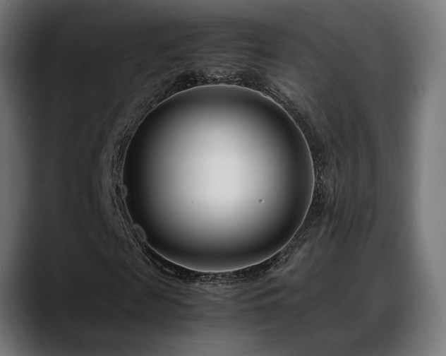 X0000088660817200705251520