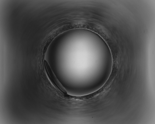 X0000088660821200705251520