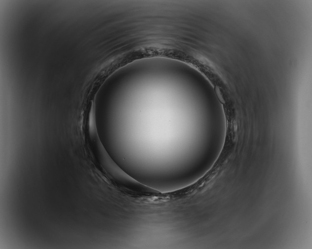 X0000088660822200705251520