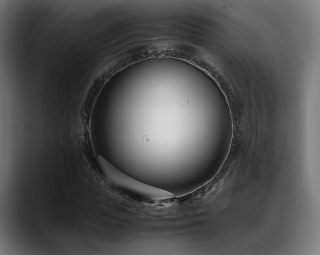 X0000088660823200705251520