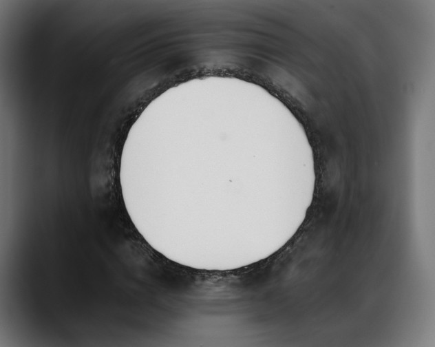 X0000088660824200705251520