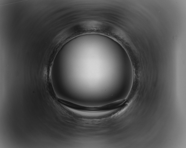 X0000088660825200705251520