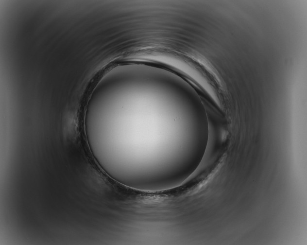 X0000088660826200705251520