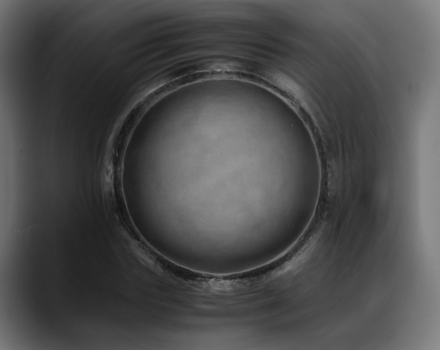 X0000088660827200705251520