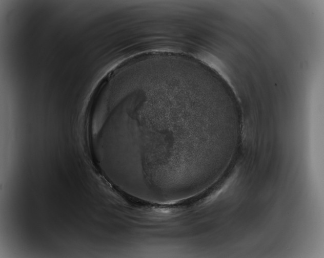 X0000088660829200705251520