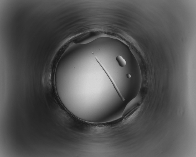 X0000088660830200705251520