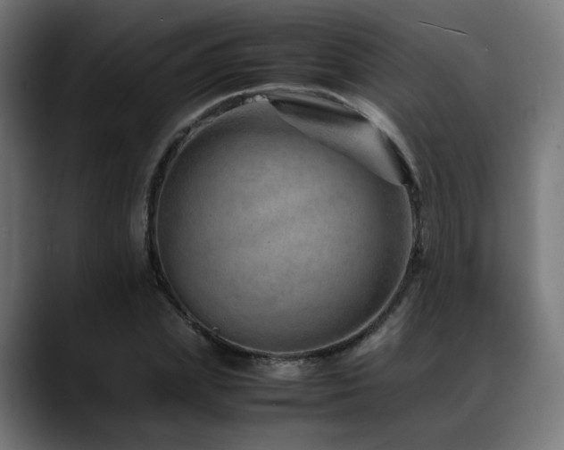 X0000088660831200705251520