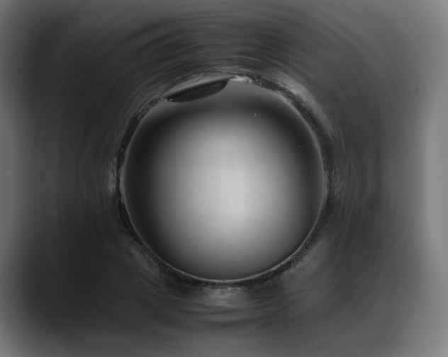 X0000088660833200705251520