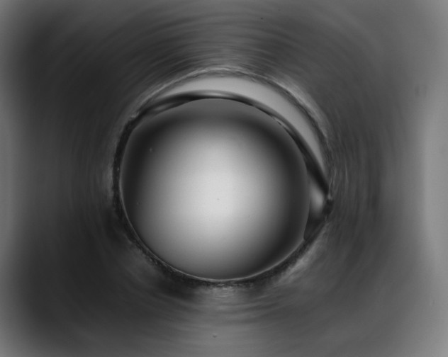 X0000088660834200705251520