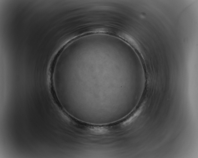 X0000088660835200705251520